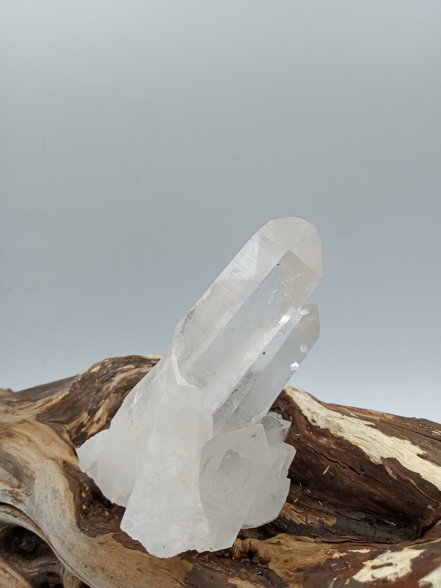 Himalayan Quartz Cluster