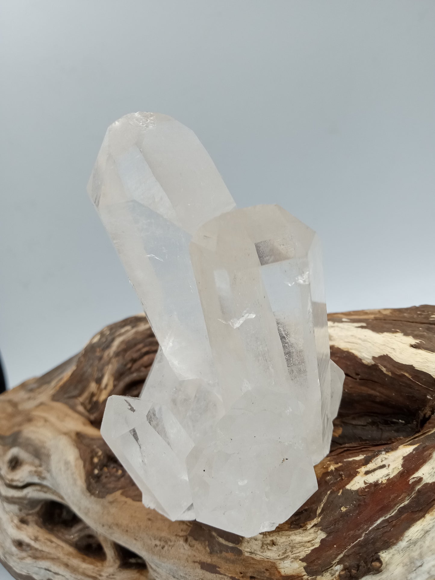 Himalayan Quartz Cluster